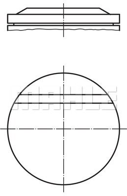 WILMINK GROUP Männät WG1200683